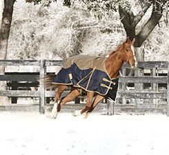 Professional's Choice Wrangler Super Heavyweight Turnout Horse Blanket
