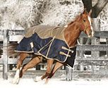 Professional's Choice Wrangler Super Heavyweight Turnout Horse Blanket