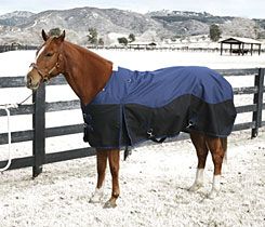 Professional's Choice Wrangler Heavyweight Turnout Horse Blanket