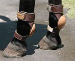 Professional's Choice Wrangler Leather Skid Boots