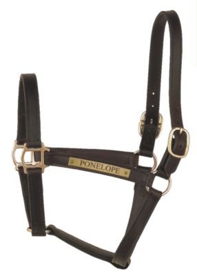 Perri's Custom 1 Track Turnout Halter Best Price