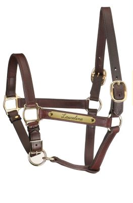 Perri's Custom 1 Track Halter with Adjustable Chin Best Price