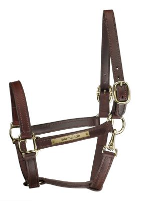 Perri's Custom 1 Track Halter with Snap Throat Best Price