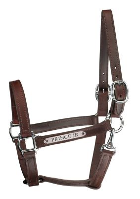 Perri's Custom 1 Track Halter with Snap Throat-Chrome Best Price
