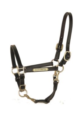 Perri's Custom 3/4 Convertible Grooming Halter Best Price
