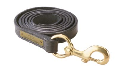 Perri's Custom 1' Leather Lead with Brass Snap Best Price
