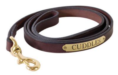 Perri's Custom Leather Dog Leash Best Price