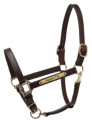 Perri's Custom 1 Deluxe Turnout Halter Best Price