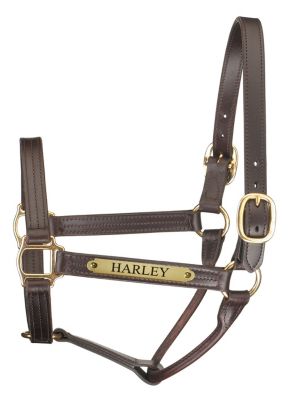 Perri's Custom 1 Premium Track Show Halter Best Price