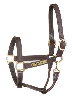Perri's Custom 1 Track Show Halter with Snap Throat Best Price