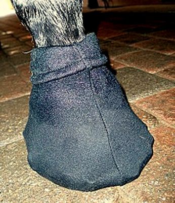 HOOFix Slipper Sock Best Price