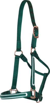Lami-Cell Halter Primo Nylon Halter