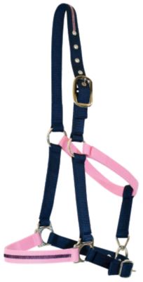 Lami-Cell Watercolor II Halter