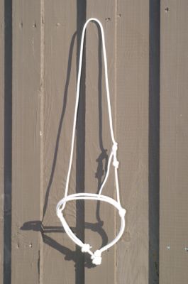 Francois Gauthier Rope Noseband