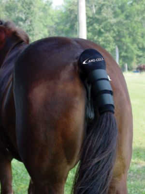Francois Gauthier Neoprene Tail Protector Best Price