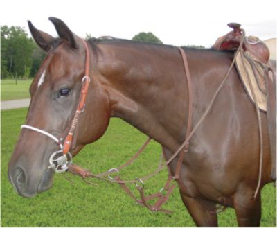 Lami-Cell DuraLeather Western Martingale