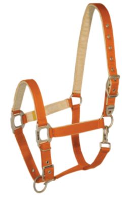 Lami-Cell Elegance Nylon Halter