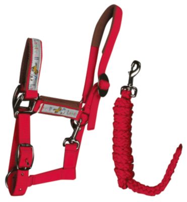 Galopin Nylon Pony Halter with Lead