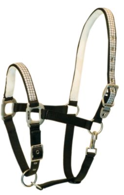 Lami-Cell Sweat Absorbing Padded Halter