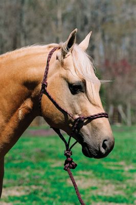 Lami-Cell Mountain Rope Halter