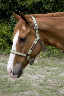 Lami-Cell Sierra Breakaway Halter