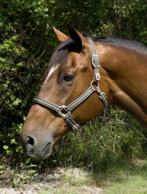 Lami-Cell Reflect Breakaway Halter