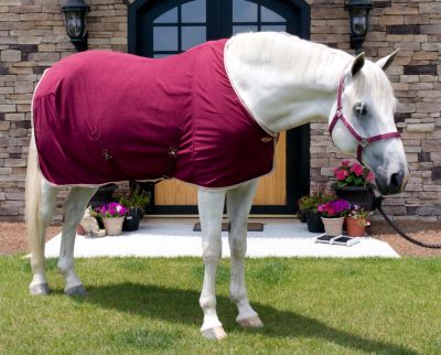 Elegance by Lami-Cell Fleece Cooler Best Price