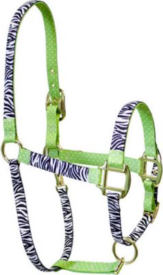 High Fashion Horse Animal Prints Breakaway Halter