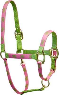 High Fashion Horse Pink and Green Skulls Breakaway Halter