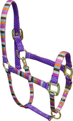 High Fashion Horse MultiStripe Breakaway Halter