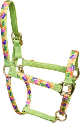 High Fashion Horse Holidays Breakaway Halter Best Price