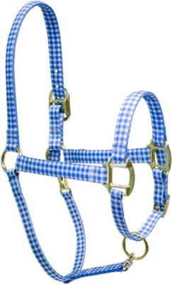 High Fashion Horse Single Pattern Halter