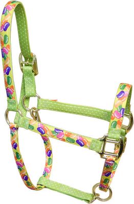 High Fashion Horse Holidays Halter