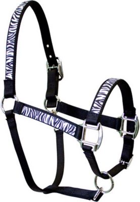 Equine Elite Black Base Breakaway Halter