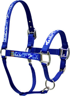 Equine Elite Blue Base Breakaway Halter