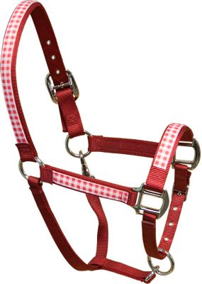 Equine Elite Red Base Breakaway Halter