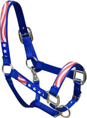 Equine Elite Seasonal Breakaway Halter Best Price