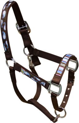 Equine Elite Brown Base Breakaway Halter