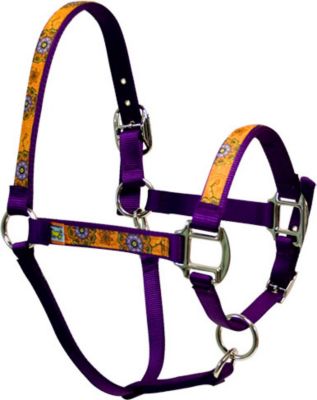 Equine Elite Purple Base Breakaway Halter