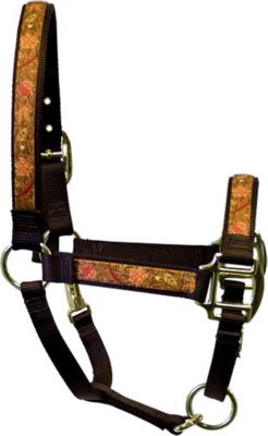 Equine Elite Seasonal Halter