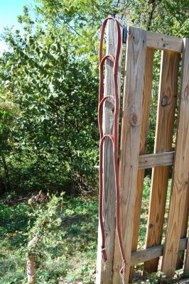 Timber Ridge Ladder Reins