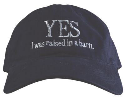 Stirrups Adult Raised In A Barn Ball Cap