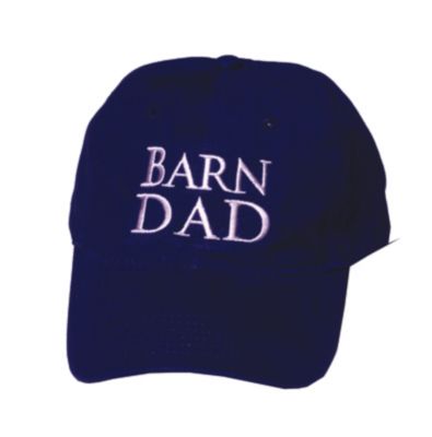 Stirrups Men's Barn Dad Ball Cap