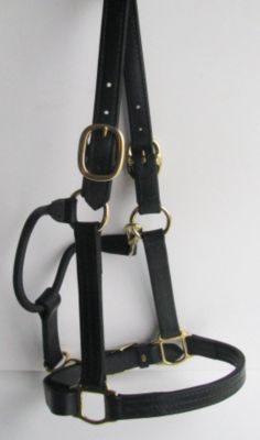 Sound Equine Leather Draft Deluxe Halter Best Price