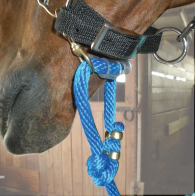 Sound Equine Easy Lead Poly Lead Line Best Price