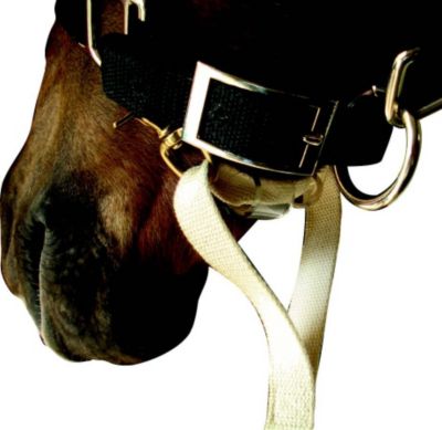 Sound Equine Easy Lunge Cotton Lunge Line Best Price