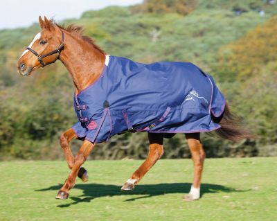 Shires Stormbreaker 100 Lightweight Horse Turnout Blanket