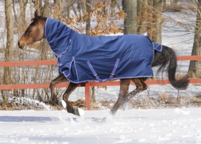 Shires Winter Highlander Combo Midweight Horse Turnout Blanket