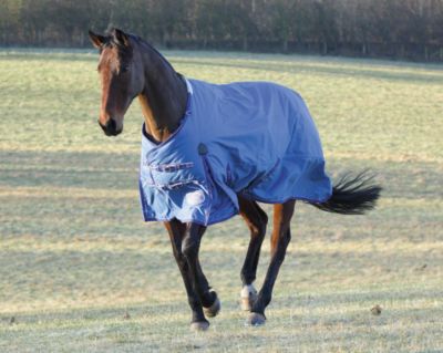 Shires Typhoon Heavyweight Horse Turnout Blanket
