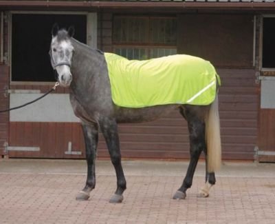 Shires Reflective Quarter Sheet Best Price